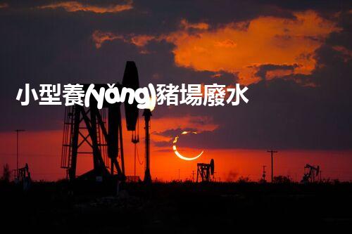 小型養(yǎng)豬場廢水處理設(shè)備的環(huán)保革命？答案在那個地點(diǎn)！